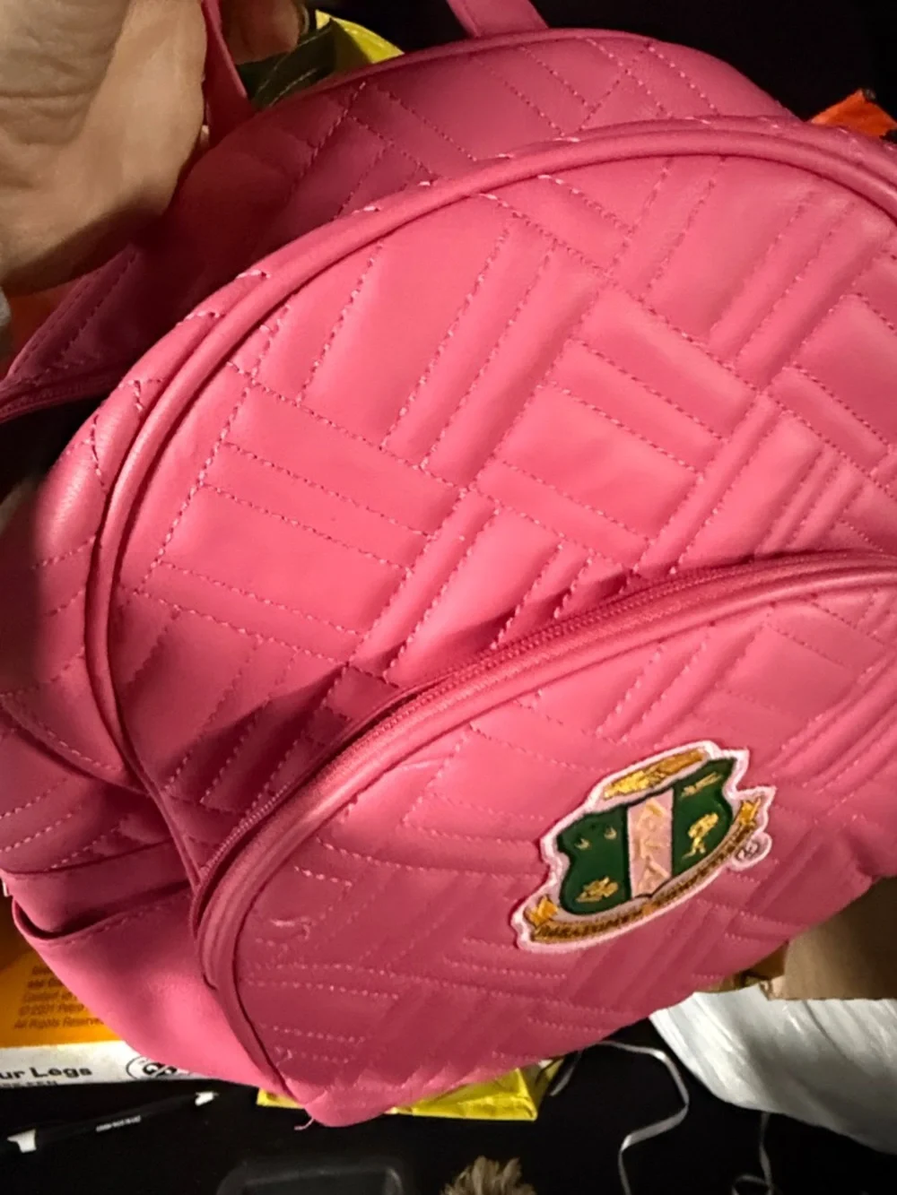 Last few days before I leave for vcay - Boule ready Alpha Kappa Alpha backpack - Picture 10 of 10